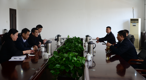 汶上县委副书记、县长李洪文到开云电子网页版公司调研